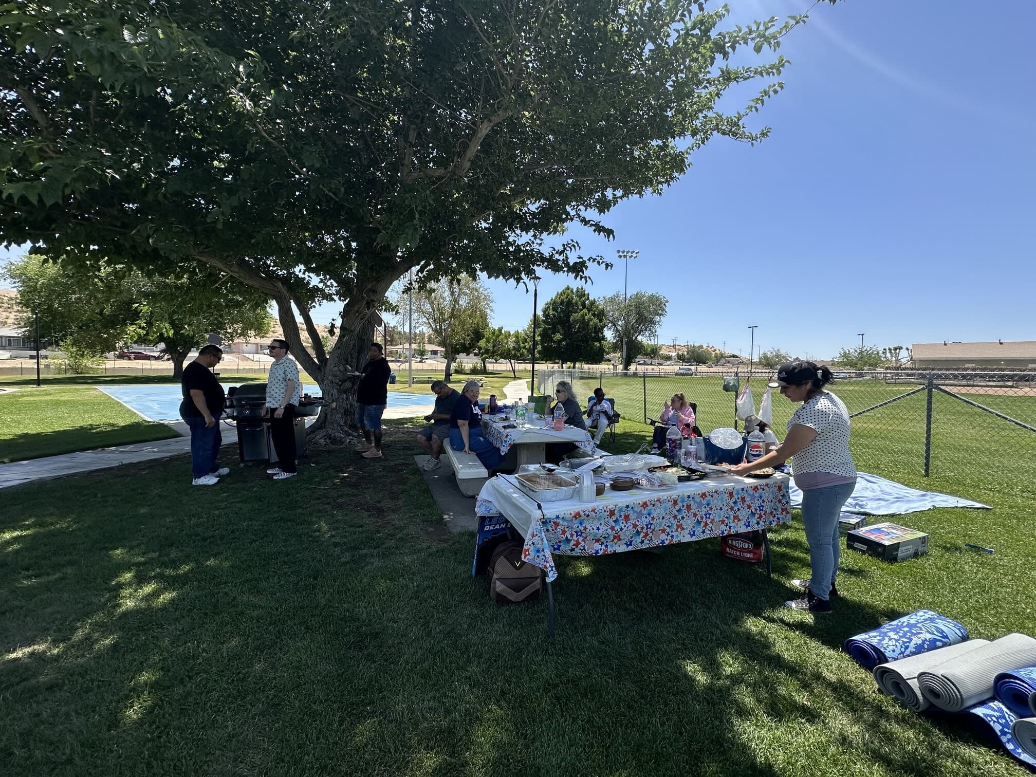 Aspire alumni meeting together in a park