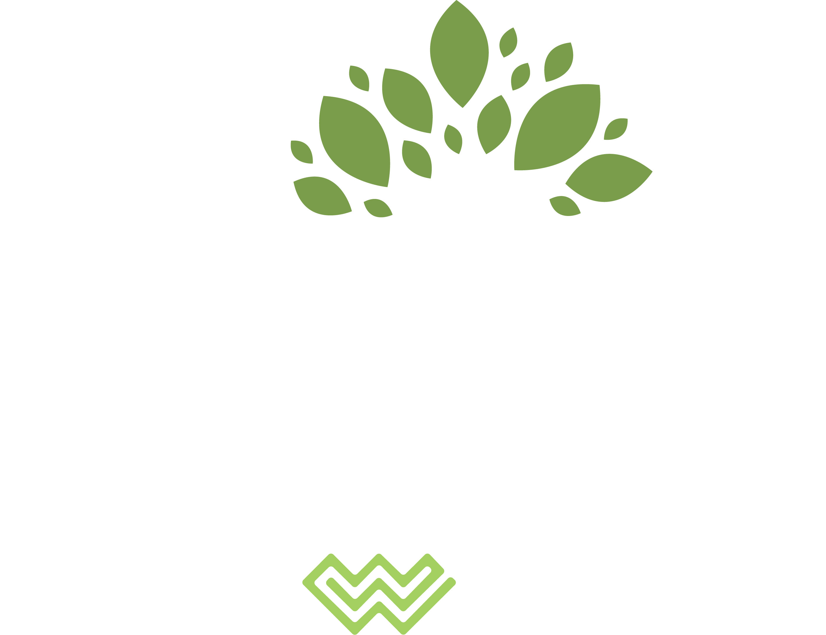 Aspire counseling services alcohol treatment